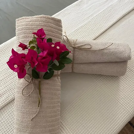 Abajo Stijlvol Met Zwembad En Tuin Cadiz