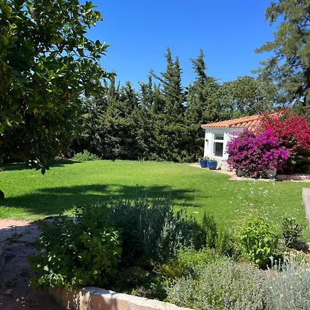 Abajo Stijlvol Met Zwembad En Tuin דירה *