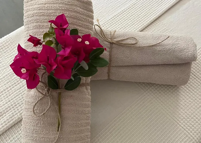 Abajo Stijlvol Met Zwembad En Tuin 加的斯