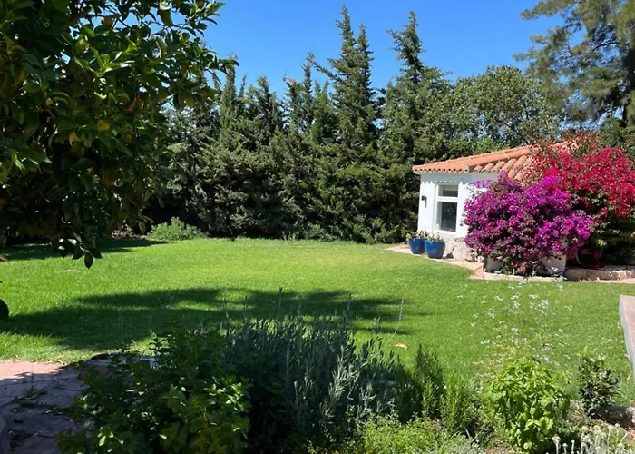 Abajo Stijlvol Met Zwembad En Tuin 公寓 *